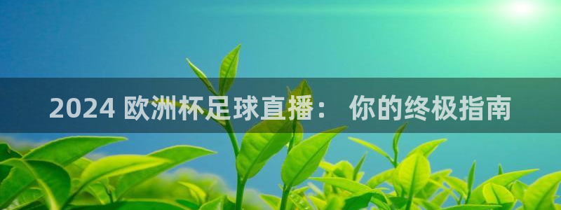 足球赌注平台app|2024 欧洲杯足球直播： 你的终极指南