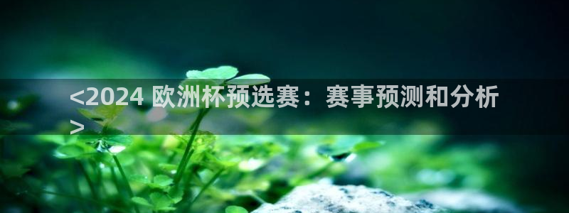 欧洲杯买足球软件有哪些|<2024 欧洲杯预选赛：赛事预测和分析
>