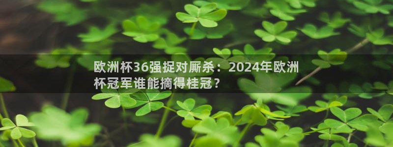 买足球平台哪个比较好|欧洲杯36强捉对厮杀：2024年欧洲
杯冠军谁能摘得桂冠？