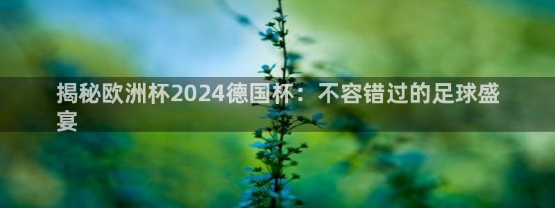 2024欧洲杯买球手机版