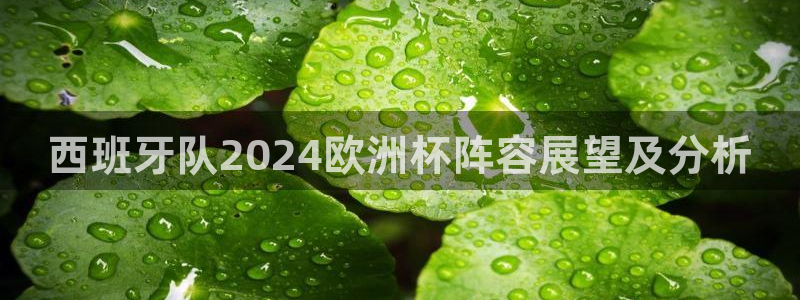 欧洲杯竞猜手机app推荐|西班牙队2024欧洲杯阵容展望及分析