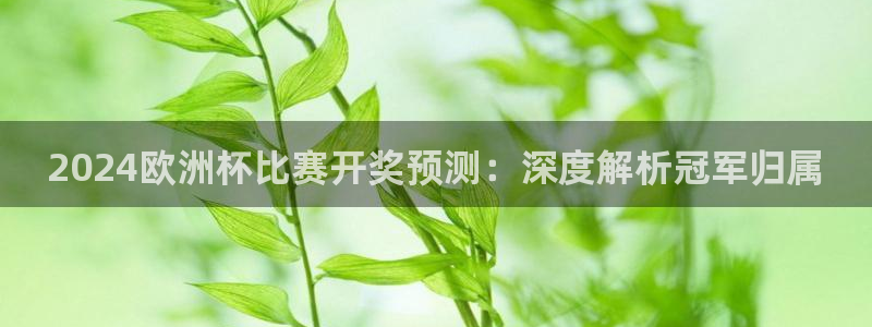 欧洲杯买足球软件有哪些|2024欧洲杯比赛开奖预测：深度解析冠军归属