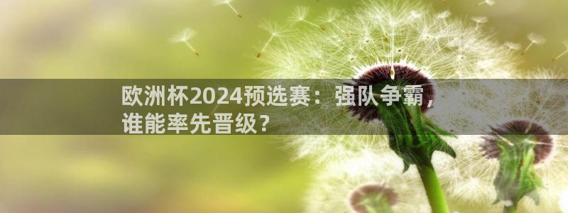 2024年欧洲杯投注|欧洲杯2024预选赛：强队争霸，
谁能率先晋级？