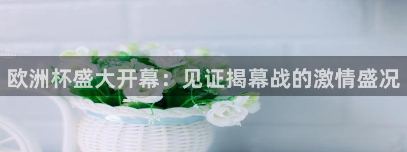 欧洲杯网站|欧洲杯盛大开幕：见证揭幕战的激情盛况