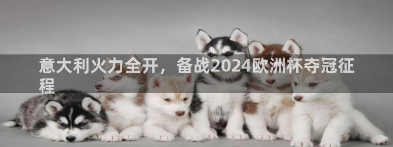 买球平台官方网站|意大利火力全开，备战2024欧洲杯夺冠征
程