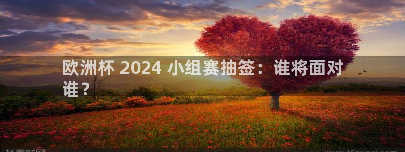 网上哪个平台可以买足球|欧洲杯 2024 小组赛抽签：谁将面对
谁？